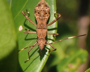 PA260280a.jpg